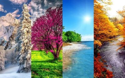 Le Quattro Stagioni del Colore